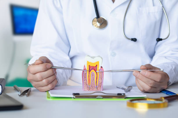Best Urgent Care for Lost Fillings or Crowns in Lyons, IL